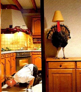 An enlightened turkey...