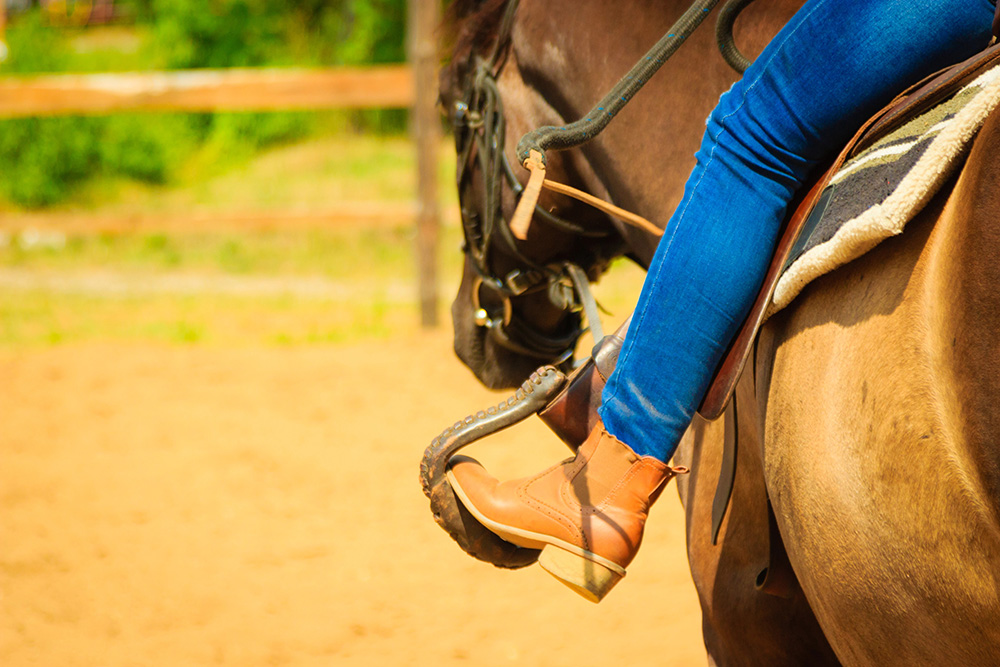 Horse rider’s negligence claim not barred